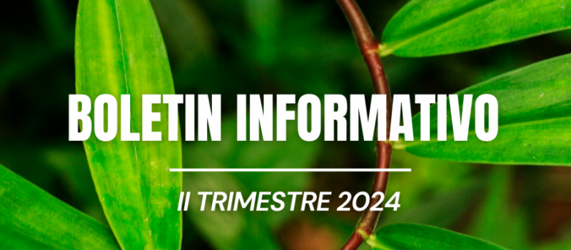 Boletín Informativo II Trimestres 2024
