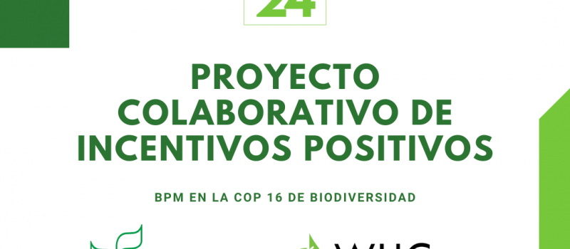 Noticia Proyecto colaborativo de Incentivos Positivos-BPM en la COP 16 de Biodiversidad